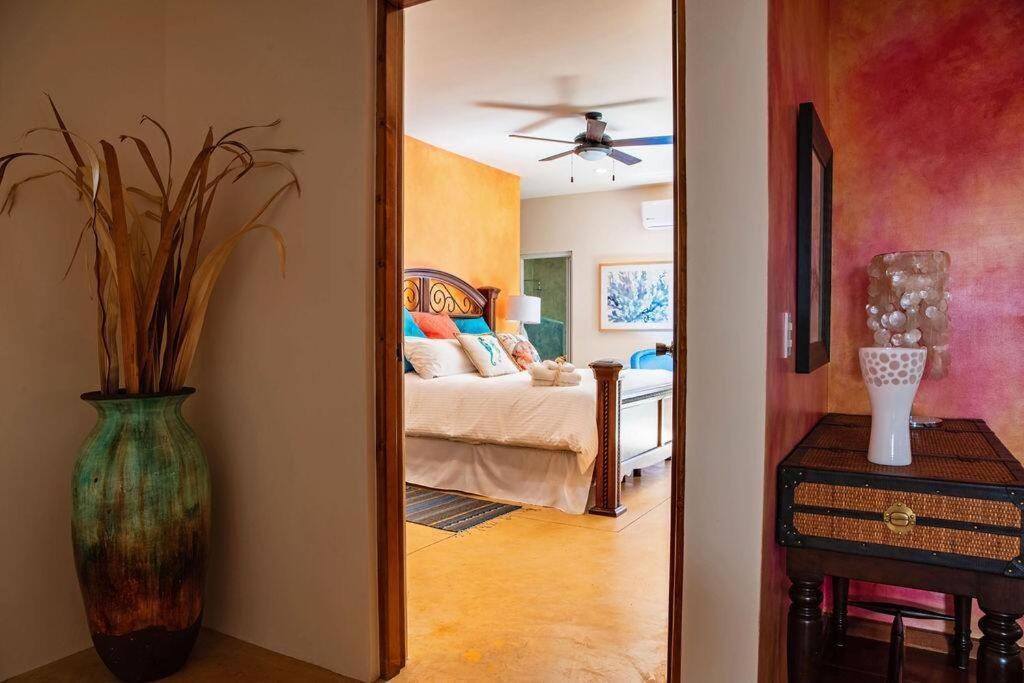 הוילה לה פז Casa Oasis מראה חיצוני תמונה